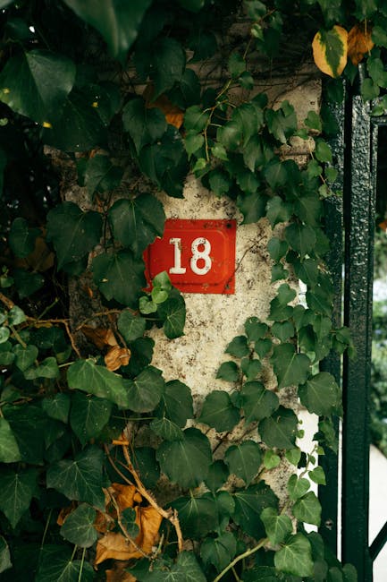 Advanced neural network and data visualization graphs