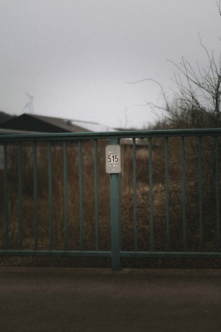 Learning dashboard showing video tutorial access